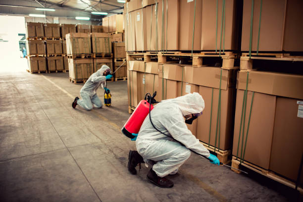 Best Affordable Pest Control Services  in Village Of Four Seasons, MO