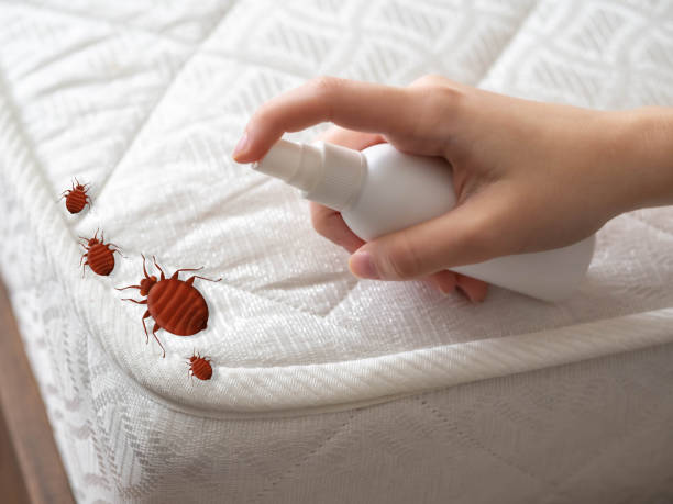 Best Residential Pest Control  in Village Of Four Seasons, MO
